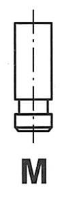 Wilmink Group WG1157797 Exhaust valve WG1157797: Buy near me at 2407.PL in Poland at an Affordable price!