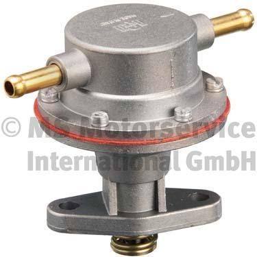 Wilmink Group WG1025823 Fuel pump WG1025823: Buy near me in Poland at 2407.PL - Good price!