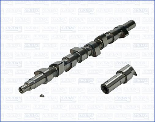 Wilmink Group WG1171252 Camshaft WG1171252: Buy near me in Poland at 2407.PL - Good price!