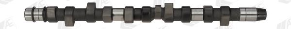 Wilmink Group WG1093057 Camshaft WG1093057: Buy near me in Poland at 2407.PL - Good price!