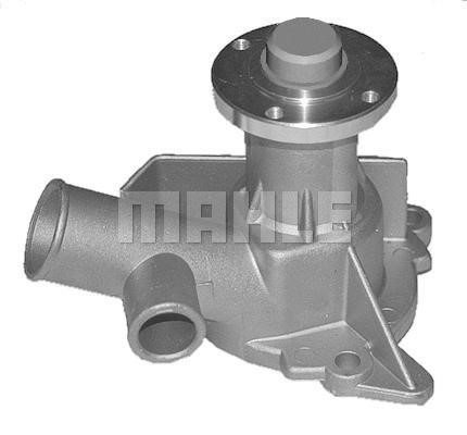 Wilmink Group WG2181382 Water pump WG2181382: Buy near me at 2407.PL in Poland at an Affordable price!