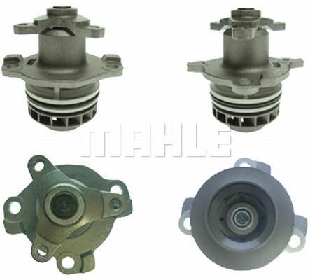 Wilmink Group WG2181713 Water pump WG2181713: Buy near me at 2407.PL in Poland at an Affordable price!