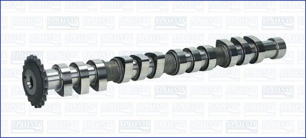 Wilmink Group WG1171022 Camshaft WG1171022: Buy near me in Poland at 2407.PL - Good price!