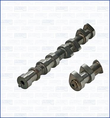 Wilmink Group WG1170931 Camshaft WG1170931: Buy near me in Poland at 2407.PL - Good price!