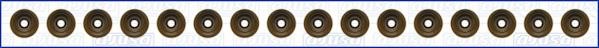 Wilmink Group WG1169824 Valve oil seals, kit WG1169824: Buy near me in Poland at 2407.PL - Good price!