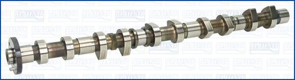 Wilmink Group WG1456470 Camshaft WG1456470: Buy near me in Poland at 2407.PL - Good price!