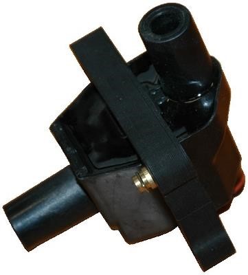 Wilmink Group WG1012153 Ignition coil WG1012153: Buy near me in Poland at 2407.PL - Good price!