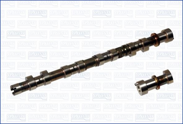 Wilmink Group WG1171158 Camshaft WG1171158: Buy near me in Poland at 2407.PL - Good price!