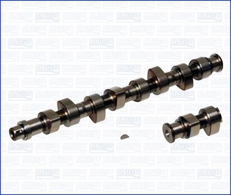 Wilmink Group WG1171020 Camshaft WG1171020: Buy near me at 2407.PL in Poland at an Affordable price!
