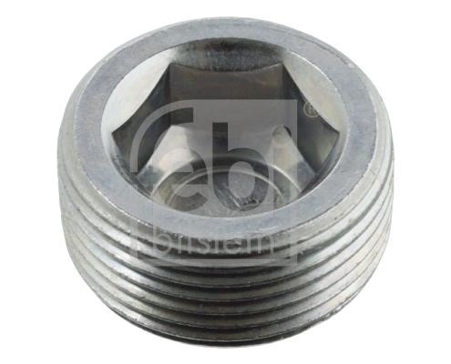 Wilmink Group WG1433733 Sump plug WG1433733: Buy near me at 2407.PL in Poland at an Affordable price!