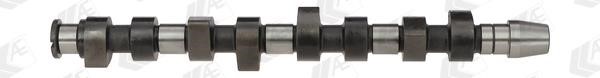 Wilmink Group WG1171908 Camshaft WG1171908: Buy near me in Poland at 2407.PL - Good price!