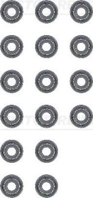 Wilmink Group WG1103093 Valve oil seals, kit WG1103093: Buy near me in Poland at 2407.PL - Good price!