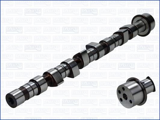 Wilmink Group WG1171373 Camshaft WG1171373: Buy near me in Poland at 2407.PL - Good price!