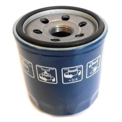 Wilmink Group WG1746747 Oil Filter WG1746747: Buy near me in Poland at 2407.PL - Good price!