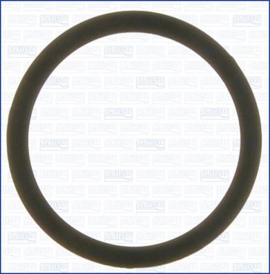 Wilmink Group WG1751095 Termostat gasket WG1751095: Buy near me at 2407.PL in Poland at an Affordable price!