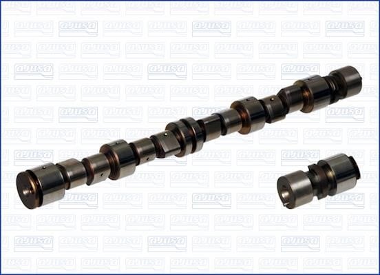 Wilmink Group WG1170908 Camshaft WG1170908: Buy near me in Poland at 2407.PL - Good price!