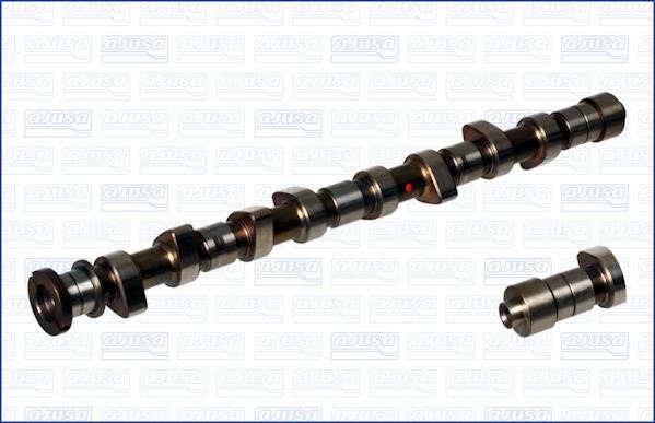 Wilmink Group WG1171234 Camshaft WG1171234: Buy near me in Poland at 2407.PL - Good price!