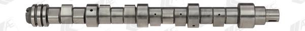 Wilmink Group WG1171910 Camshaft WG1171910: Buy near me at 2407.PL in Poland at an Affordable price!