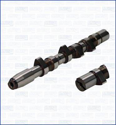 Wilmink Group WG1170921 Camshaft WG1170921: Buy near me in Poland at 2407.PL - Good price!