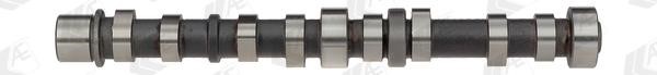 Wilmink Group WG1093067 Camshaft WG1093067: Buy near me in Poland at 2407.PL - Good price!