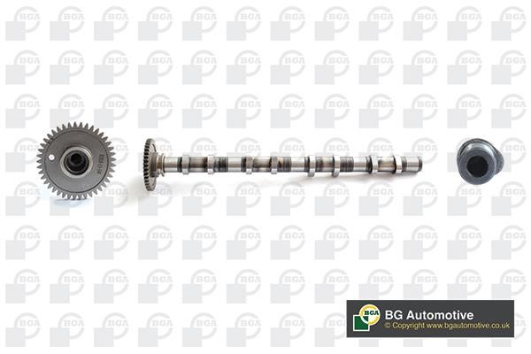 Wilmink Group WG1910534 Camshaft WG1910534: Buy near me in Poland at 2407.PL - Good price!