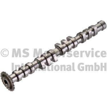Wilmink Group WG1017631 Camshaft WG1017631: Buy near me at 2407.PL in Poland at an Affordable price!