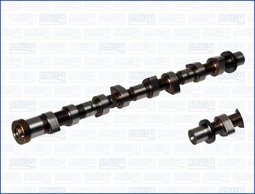 Wilmink Group WG1754023 Camshaft WG1754023: Buy near me in Poland at 2407.PL - Good price!
