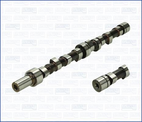 Wilmink Group WG1171209 Camshaft WG1171209: Buy near me in Poland at 2407.PL - Good price!