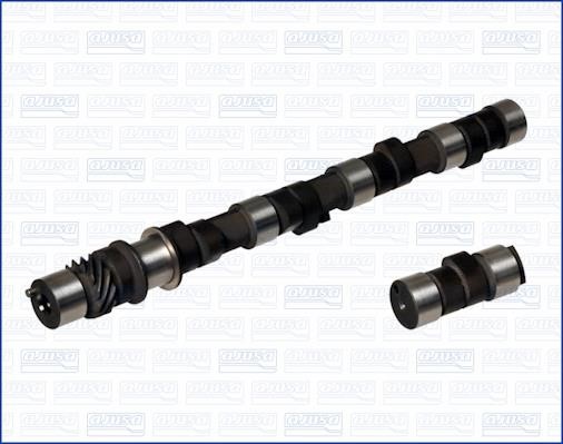 Wilmink Group WG1171266 Camshaft WG1171266: Buy near me in Poland at 2407.PL - Good price!