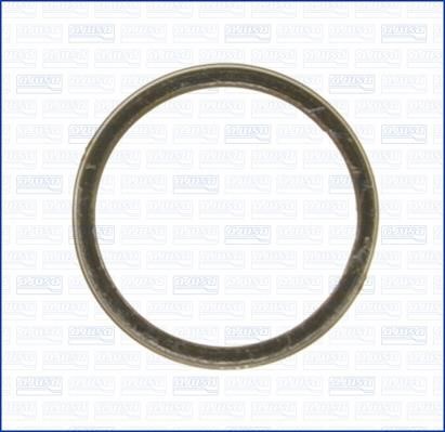 Wilmink Group WG1163681 O-ring exhaust system WG1163681: Buy near me in Poland at 2407.PL - Good price!