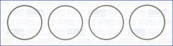 Wilmink Group WG1170212 O-rings for cylinder liners, kit WG1170212: Buy near me in Poland at 2407.PL - Good price!
