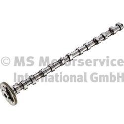 Wilmink Group WG1924823 Camshaft WG1924823: Buy near me in Poland at 2407.PL - Good price!