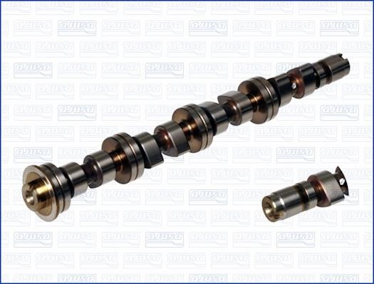 Wilmink Group WG1171335 Camshaft WG1171335: Buy near me in Poland at 2407.PL - Good price!