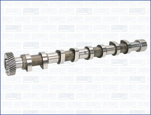 Wilmink Group WG1456834 Camshaft WG1456834: Buy near me at 2407.PL in Poland at an Affordable price!