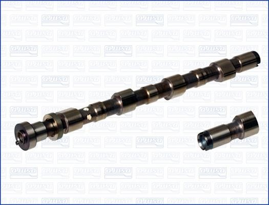 Wilmink Group WG1171495 Camshaft WG1171495: Buy near me in Poland at 2407.PL - Good price!