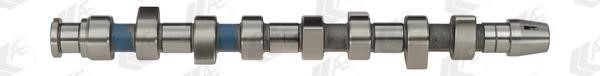 Wilmink Group WG1171909 Camshaft WG1171909: Buy near me in Poland at 2407.PL - Good price!