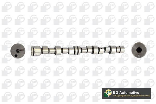 Wilmink Group WG1490579 Camshaft WG1490579: Buy near me in Poland at 2407.PL - Good price!
