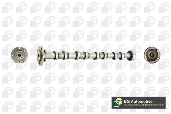 Wilmink Group WG1490429 Camshaft WG1490429: Buy near me in Poland at 2407.PL - Good price!