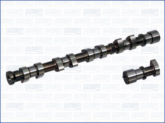 Wilmink Group WG1170770 Camshaft WG1170770: Buy near me in Poland at 2407.PL - Good price!