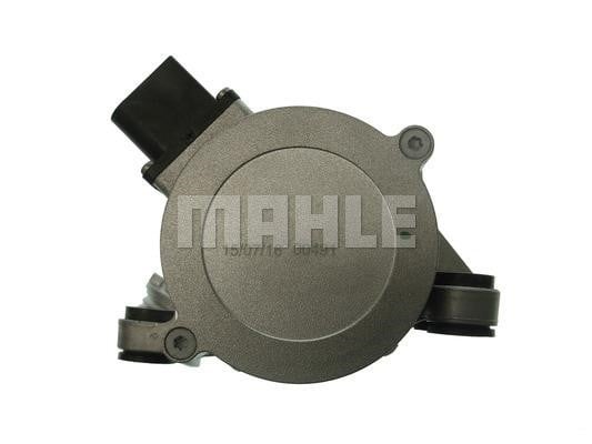 Wilmink Group WG2182008 Water pump WG2182008: Buy near me at 2407.PL in Poland at an Affordable price!