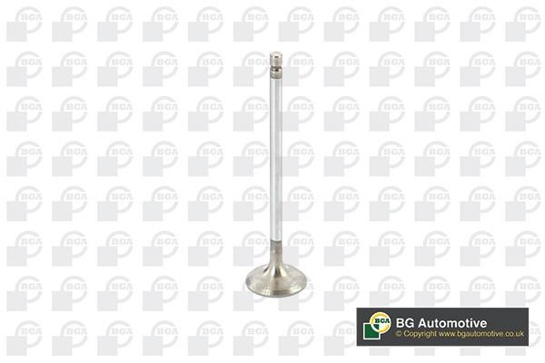 Wilmink Group WG1814479 Intake valve WG1814479: Buy near me in Poland at 2407.PL - Good price!