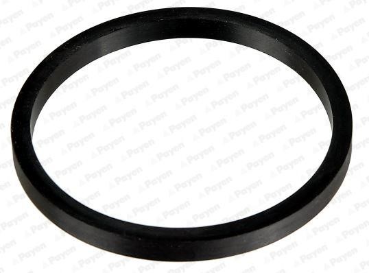 Wilmink Group WG1182993 Seal Ring, oil cooler WG1182993: Buy near me in Poland at 2407.PL - Good price!