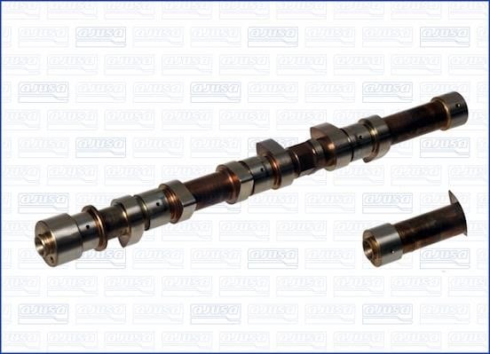 Wilmink Group WG1171072 Camshaft WG1171072: Buy near me in Poland at 2407.PL - Good price!