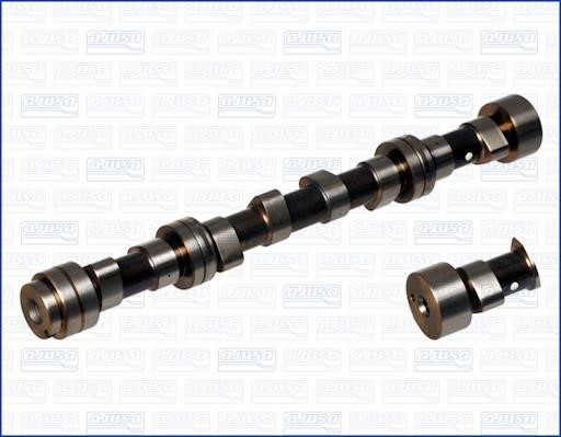 Wilmink Group WG1171453 Camshaft WG1171453: Buy near me in Poland at 2407.PL - Good price!