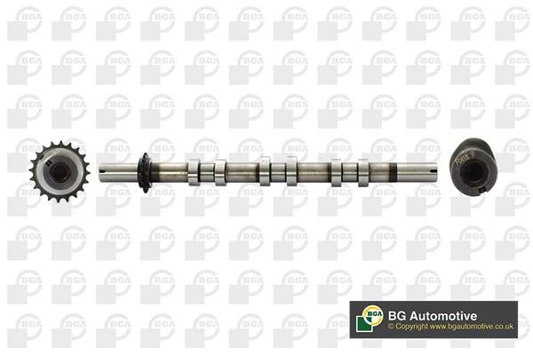 Wilmink Group WG1814301 Camshaft WG1814301: Buy near me in Poland at 2407.PL - Good price!