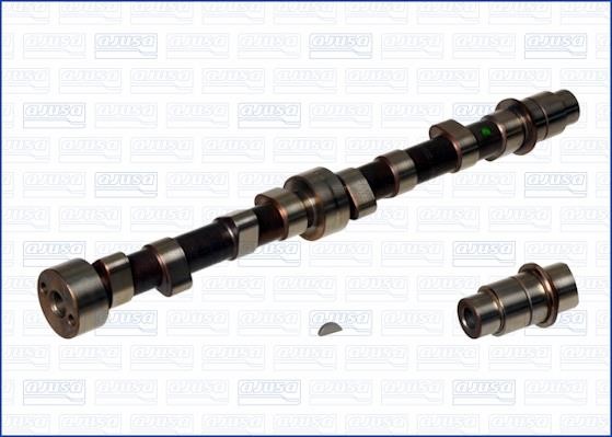 Wilmink Group WG1170844 Camshaft WG1170844: Buy near me in Poland at 2407.PL - Good price!