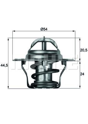 Wilmink Group WG1261796 Термостат WG1261796: Отличная цена - Купить в Польше на 2407.PL!