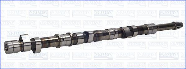 Wilmink Group WG1171293 Camshaft WG1171293: Buy near me in Poland at 2407.PL - Good price!