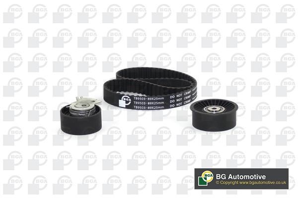 Wilmink Group WG1488069 Timing Belt Kit WG1488069: Buy near me in Poland at 2407.PL - Good price!