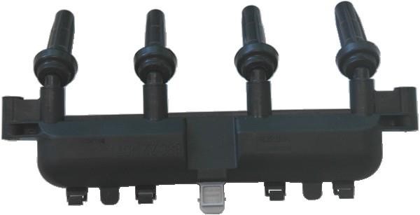 Wilmink Group WG1012156 Ignition coil WG1012156: Buy near me in Poland at 2407.PL - Good price!